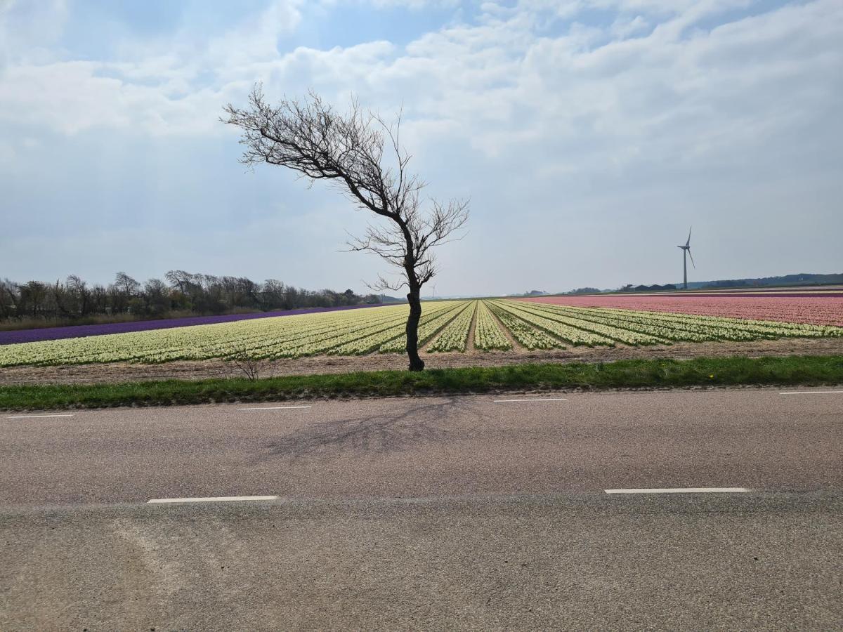 Ferienhaus Sonnenschein 荷属圣马丁 外观 照片